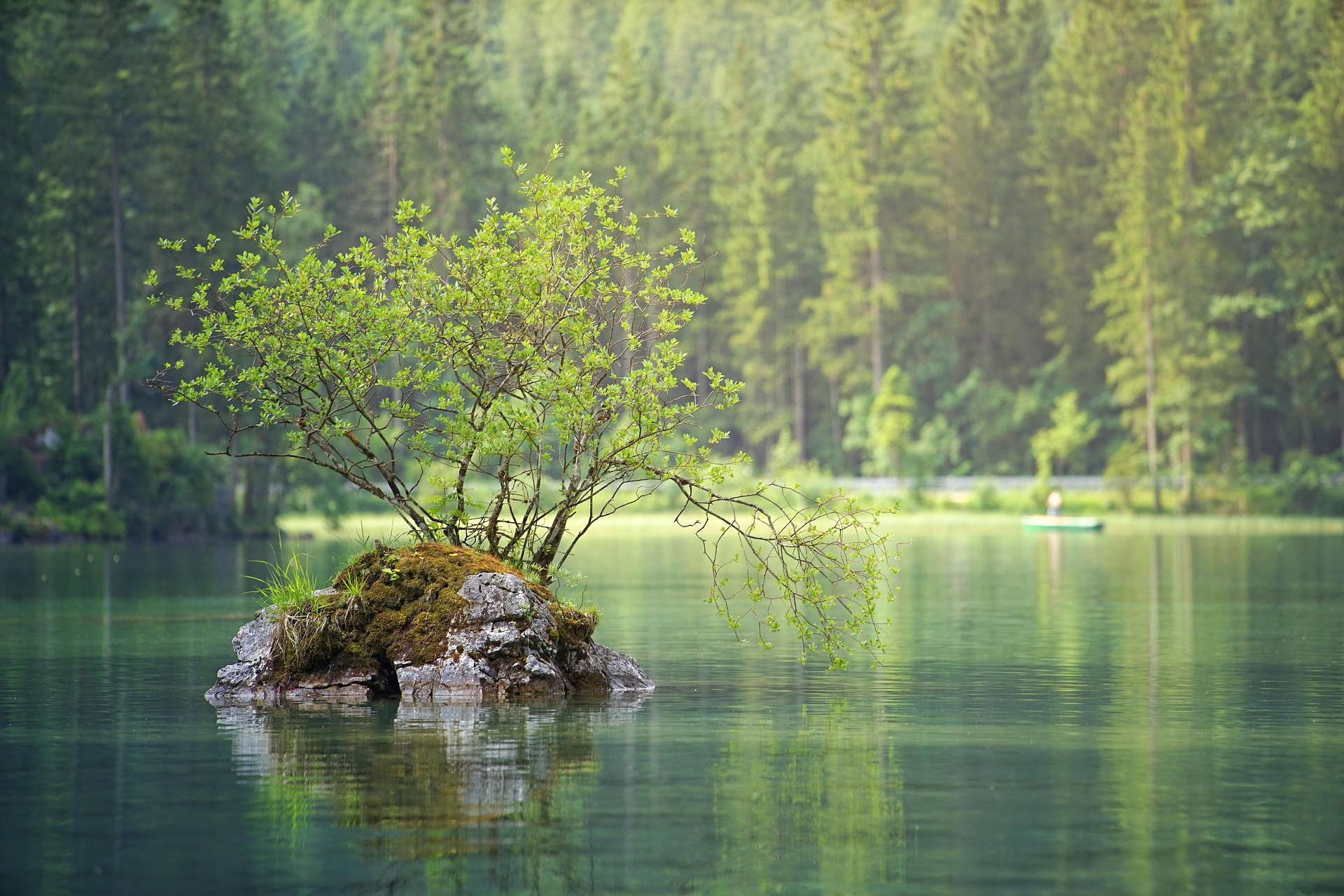 waters-3095682_1920